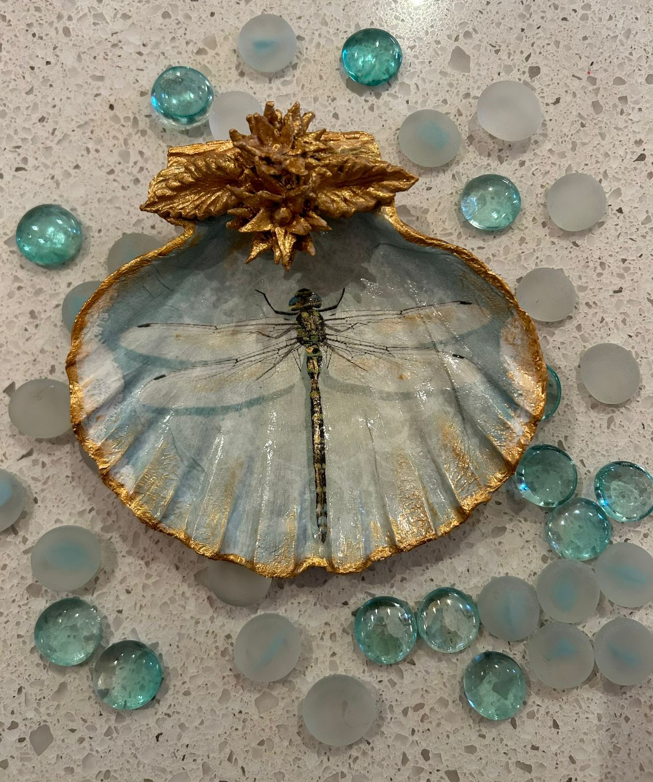 Dragonfly Scallop Shell