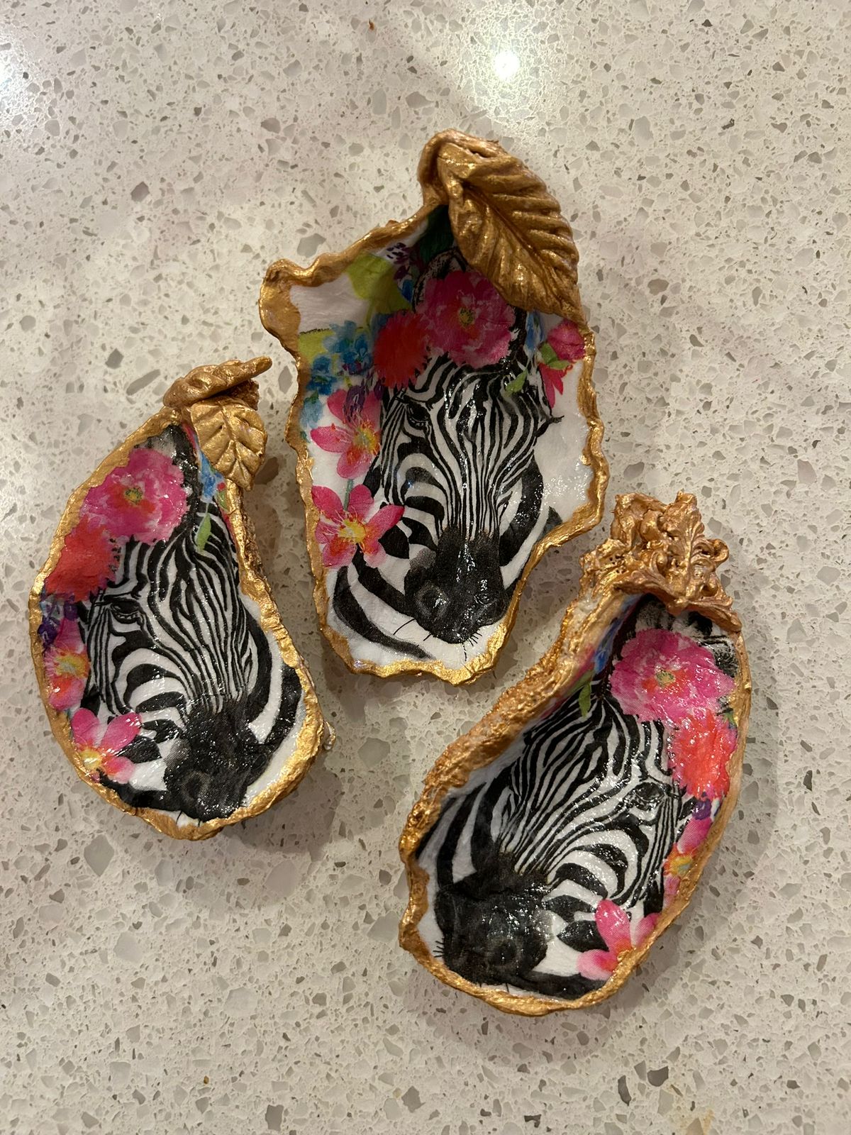 Floral Zebra Oyster Shell