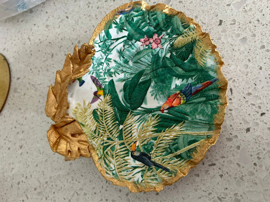Lush Jungle Scallop Shell