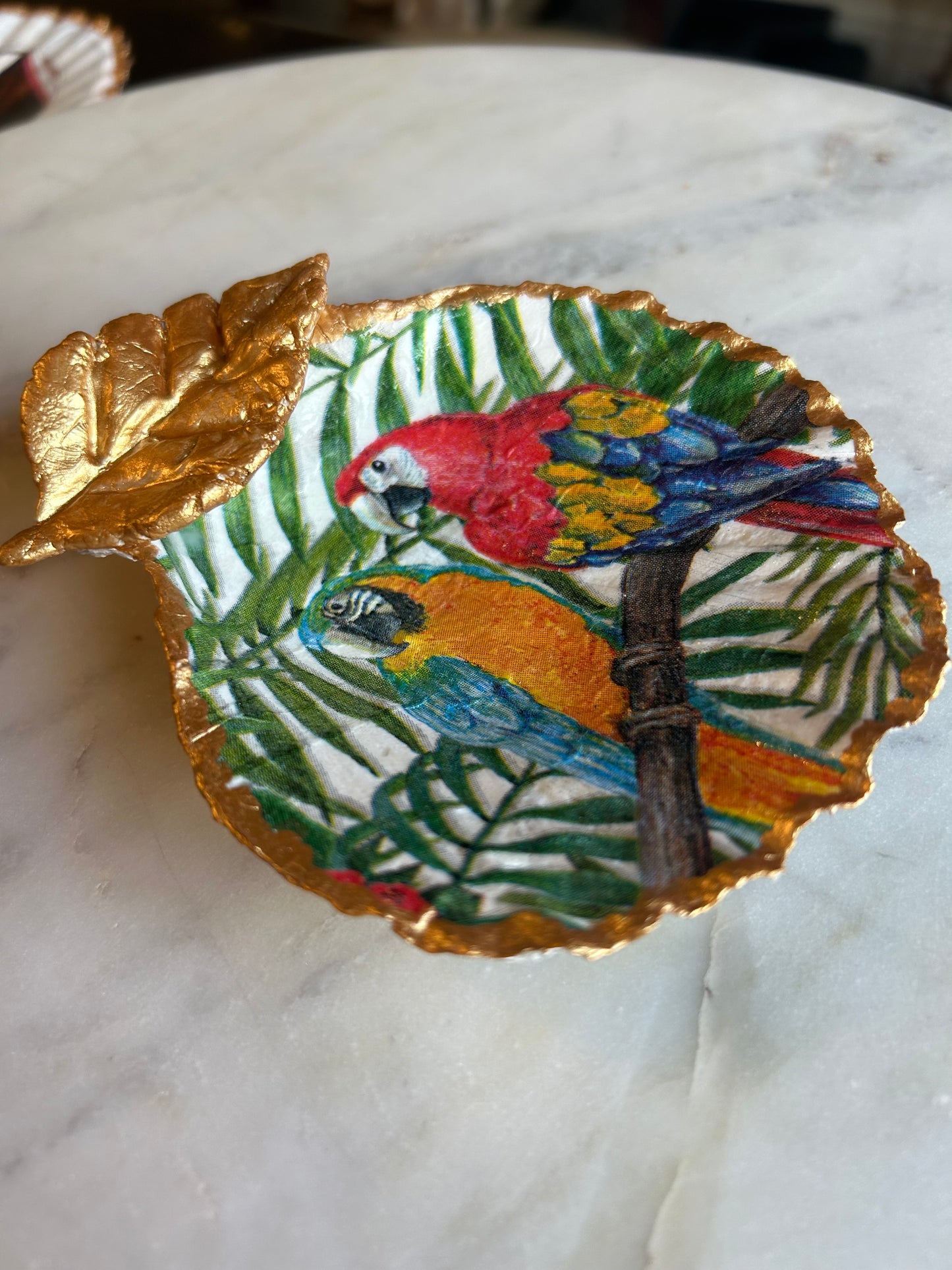Jungle Macaw Scallop Shell 1