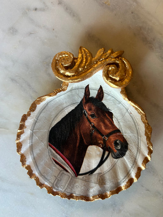 Proud Stallion Scallop Shell 1