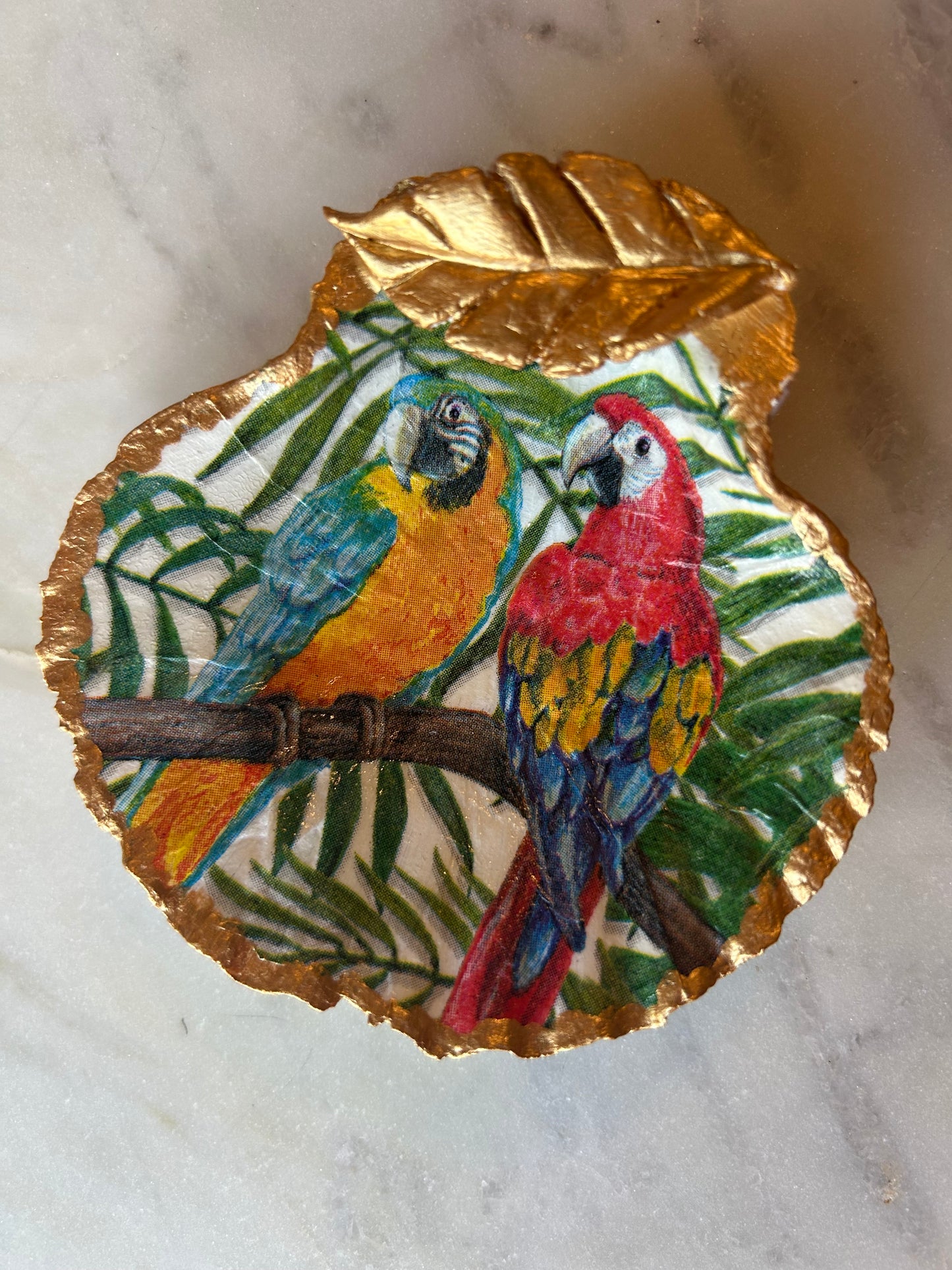 Jungle Macaw Scallop Shell 2