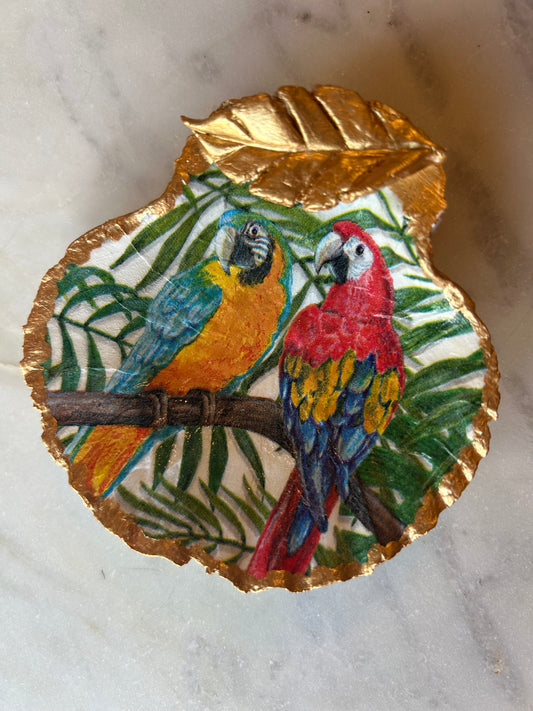 Jungle Macaw Scallop Shell 2