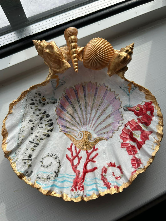 Seashores Scallops Shell