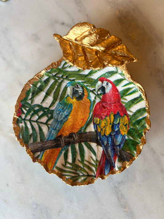 Jungle Macaw Scallop Shell 1