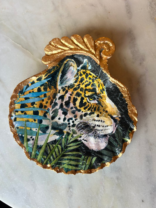 Majestic Tiger Scallop Shell 2