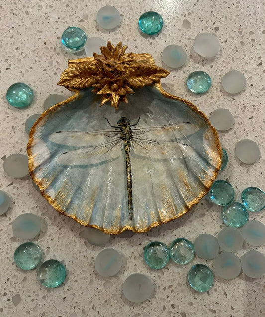 Dragonfly Scallop Shell