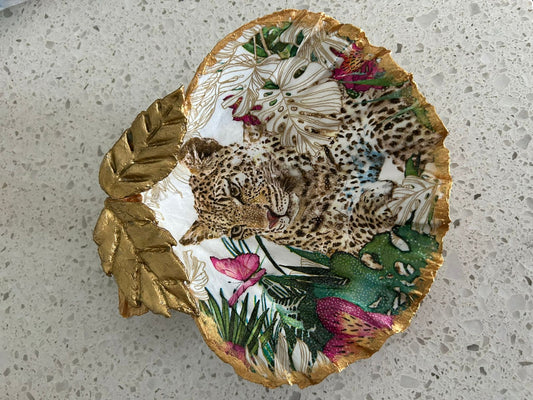 Cheetah Scallop Shell