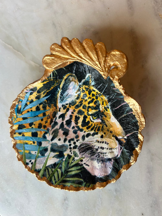 Majestic Tiger Scallop Shell 1