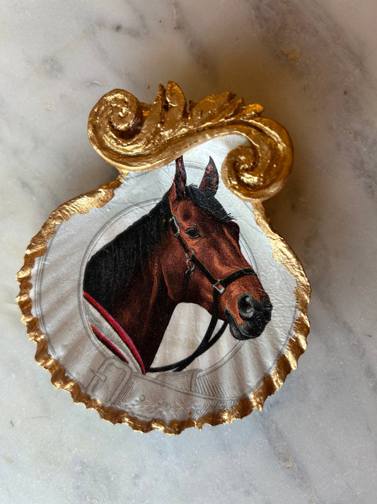 Proud Stallion Scallop Shell 2