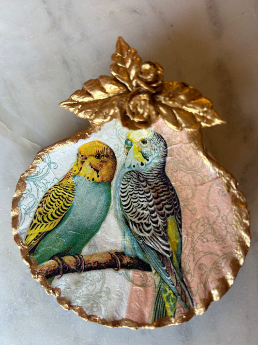 Peach Budgie Bloom Scallop 1