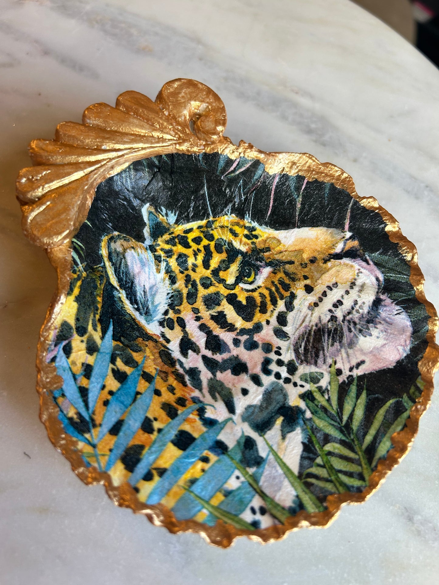 Majestic Tiger Scallop Shell 1