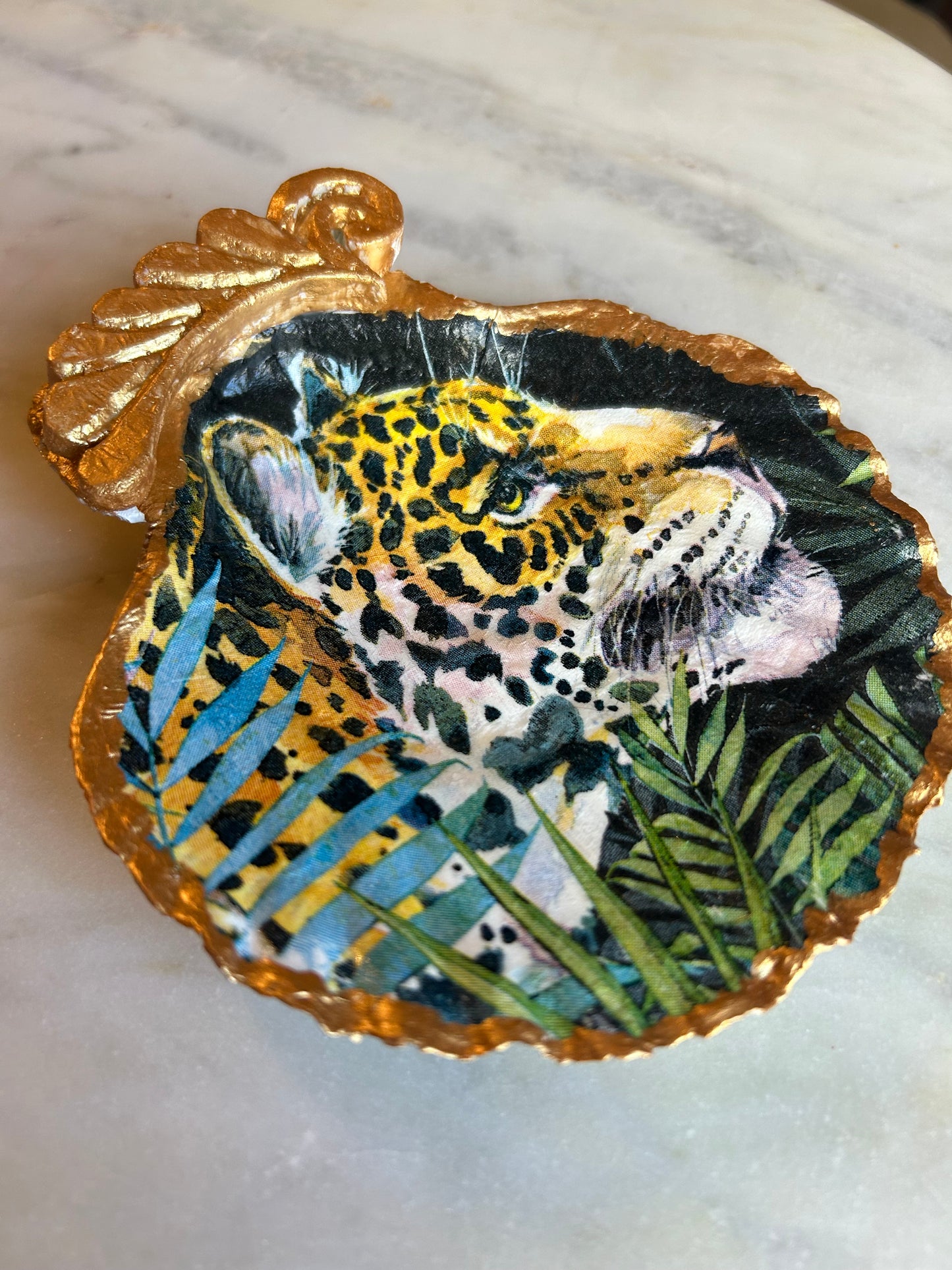 Majestic Tiger Scallop Shell 2