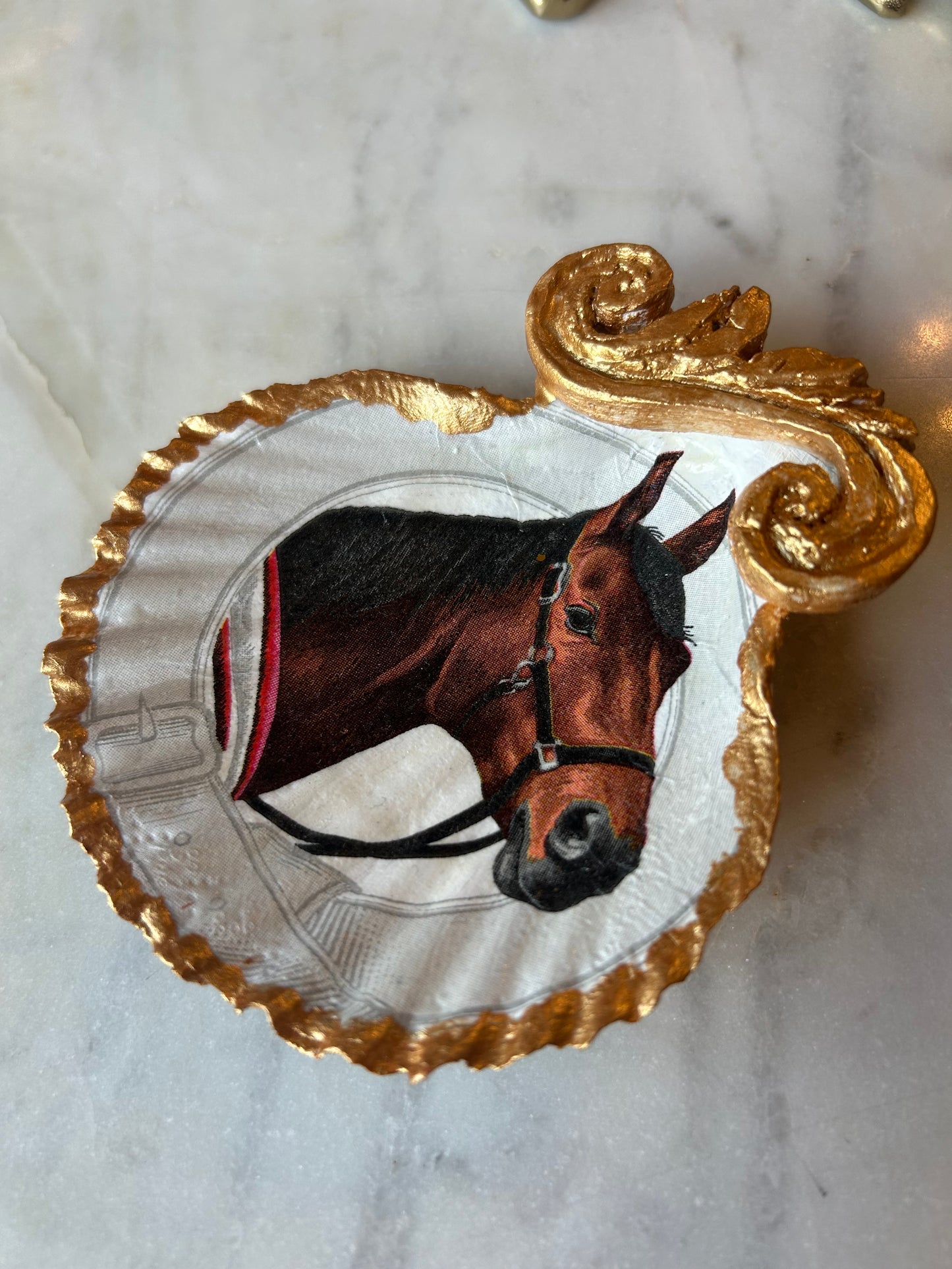 Proud Stallion Scallop Shell 2