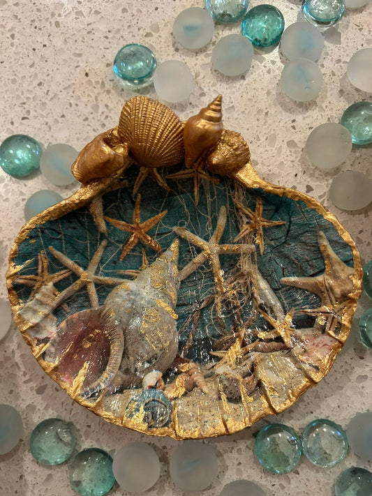 Water Shells Scallop Shell