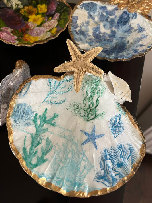 Turquoise Coral Scallop Shell