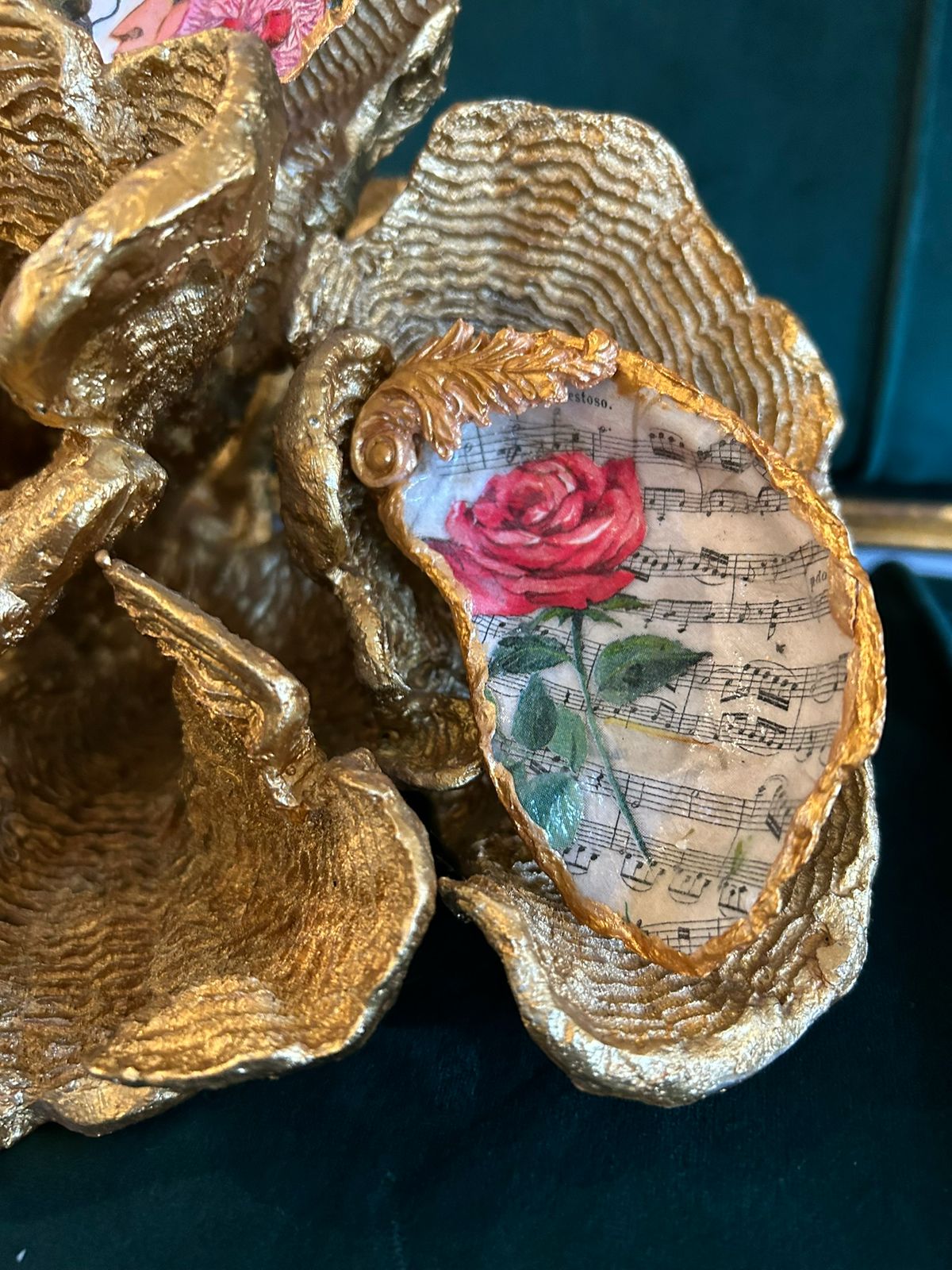 Musical Rose Oyster Shell