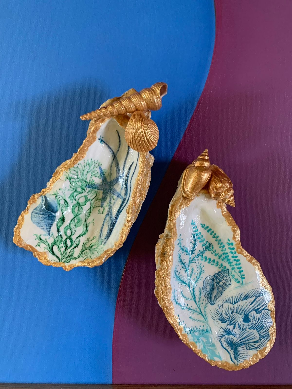 Turquoise Coral Oyster Shell