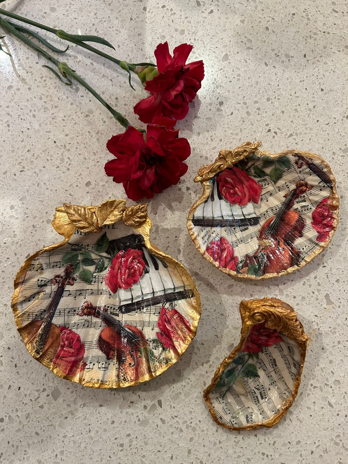 Musical Rose Scallop Shell